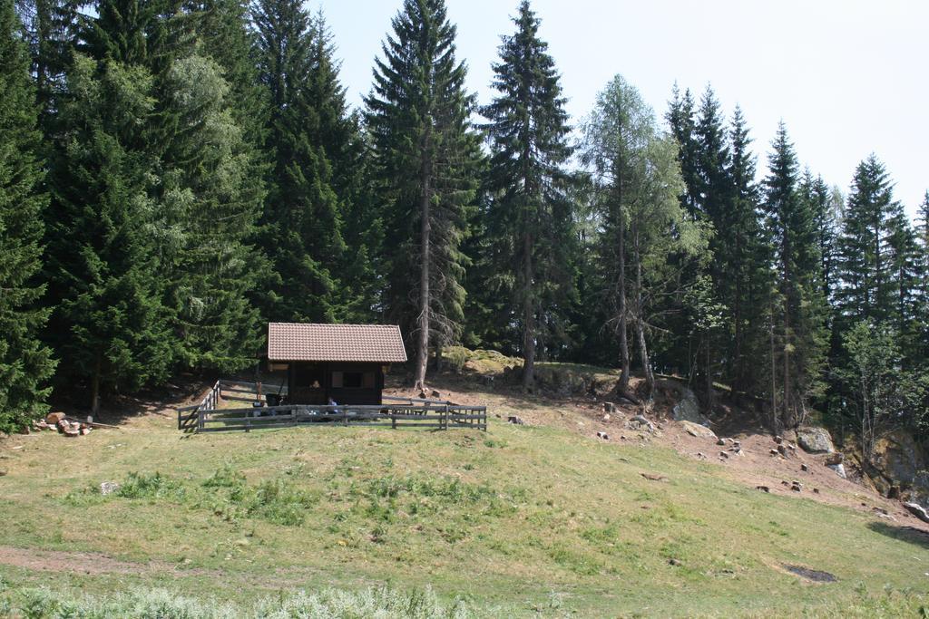 Gästehaus Berger - Priglhof Treffen Exterior foto